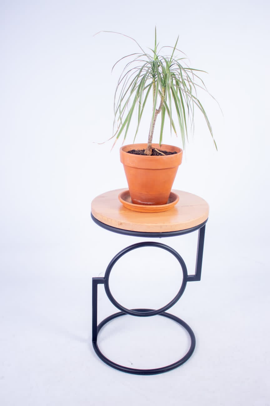 steel base plant stand